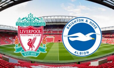 liverpool vs brighton prediction